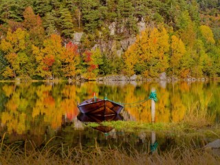 Jigsaw Puzzle «norwegian autumn»