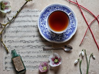 Jigsaw Puzzle «Notes and tea»