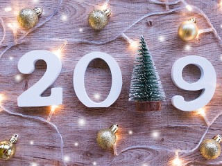 Пазл «The new year is 2019»