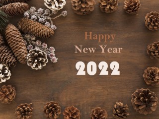 Jigsaw Puzzle «New Year»