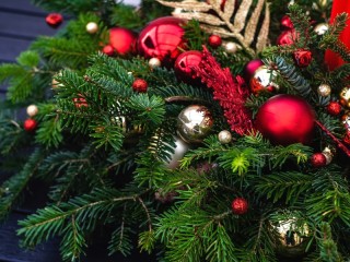 Jigsaw Puzzle «Christmas tree branch»