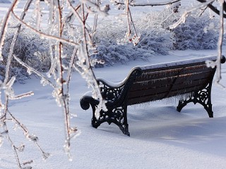 Rompecabezas «Icy bench»