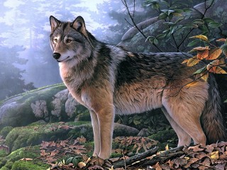 Пазл «Одинокий волк»