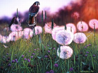Jigsaw Puzzle «Dandelions and bird»