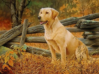 Rompicapo «Hunting dog»