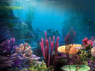Пазл «Океанские кораллы»