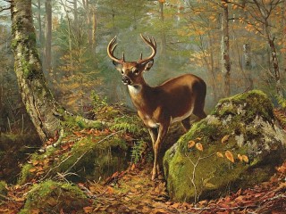 Rompecabezas «Deer in the forest»