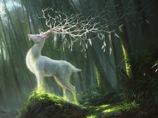 Bulmaca «Deer in the forest»