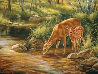 Jigsaw Puzzle «Deer by the stream»
