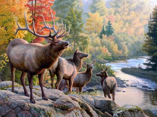 Jigsaw Puzzle «Deer in the woods»