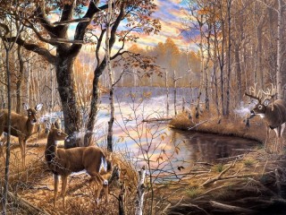 Пазл «Deer in the forest»