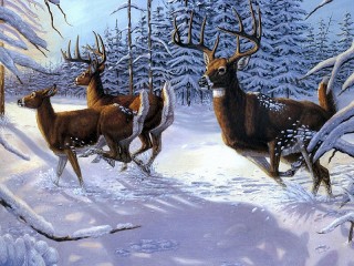 Jigsaw Puzzle «Deer in winter forest»