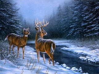 Zagadka «Deer in winter»