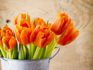Пазл «Оранжевые тюльпаны»