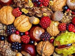 Puzzle «Nuts and berries»