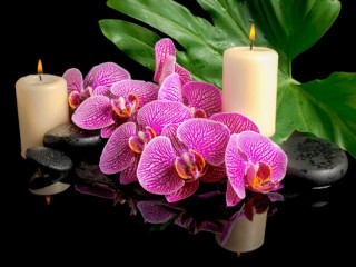 Rompecabezas «Orhidei i svechi»