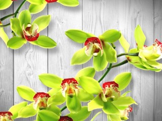 Quebra-cabeça «orhideya 11»