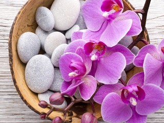 Jigsaw Puzzle «Orchid on pebbles»