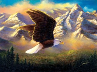 Quebra-cabeça «Eagle flight»