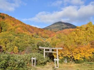 Пазл «Fall»