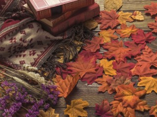 Rompicapo «Autumn is the time for books»