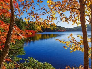 Jigsaw Puzzle «Autumn on the lake»