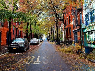 Puzzle «Autumn in Brooklyn»