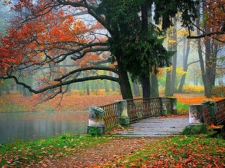 Пазл «Осень в парке»