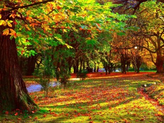 Rompecabezas «Autumn in the park»