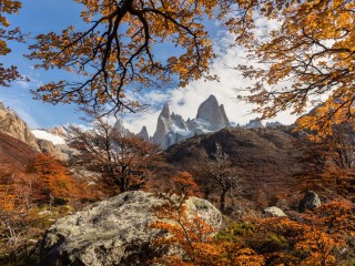Пазл «Autumn in Patagonia»