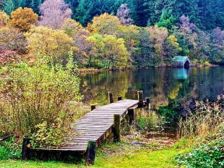 Пазл «Autumn in Scotland»