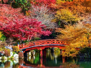 Quebra-cabeça «Autumn in Japan»