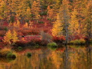 Puzzle «autumn lake»