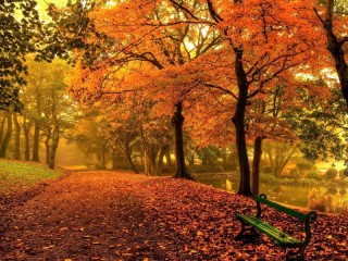 Пазл «Autumn morning»