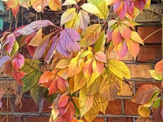 パズル «Autumn leaves»