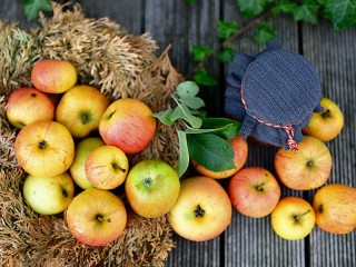 Пазл «Осенние яблоки»