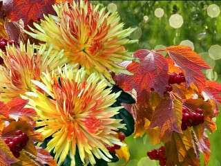 Rätsel «Autumn bouquet»