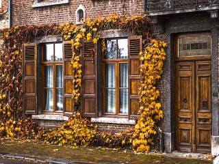 Пазл «Autumn house»