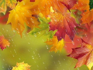 Пазл «Осенний дождь»