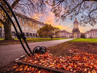 Пазл «Осенний Дублин»
