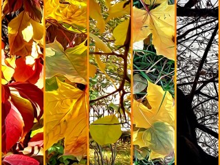 Puzzle «Autumn collage»