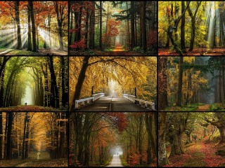 Jigsaw Puzzle «Autumn collage»