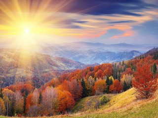 Jigsaw Puzzle «Autumn dawn»