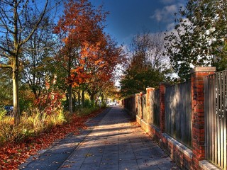 Quebra-cabeça «Autumn path»