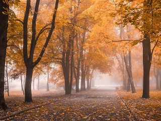 Jigsaw Puzzle «Autumn alley»