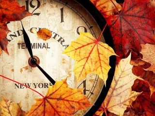 Jigsaw Puzzle «Autumn time»