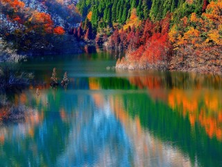 Jigsaw Puzzle «Reflection of autumn»