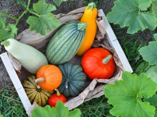 Jigsaw Puzzle «Vegetables in a box»