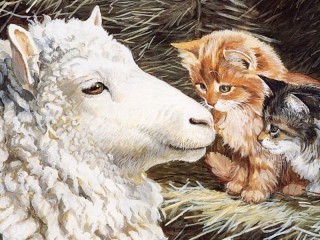 Jigsaw Puzzle «Sheep and kittens»