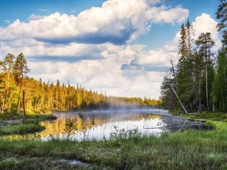 Jigsaw Puzzle «Lake in the forest»